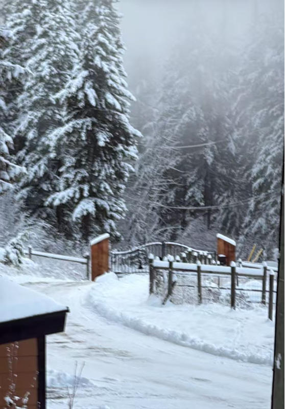 Triple Timber Posts Metal Driveway Gate – Rectangular Deer Style